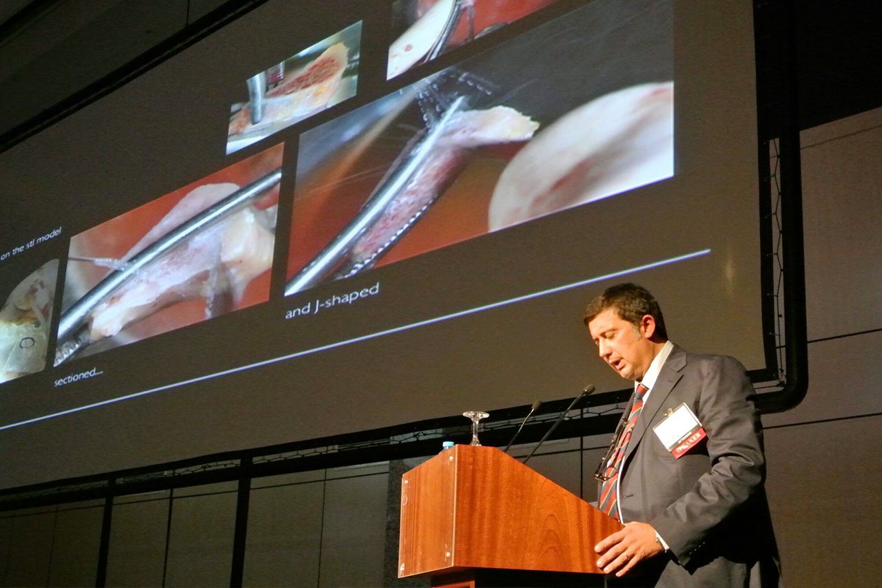 ICOI XXX International Congress Istanbul, Turkey 2013.jpg